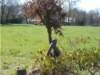 dscn0021_small.jpg