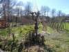 dscn0023_small.jpg