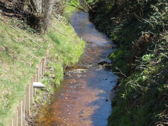 dscn0024.jpg