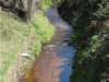 dscn0024_small.jpg
