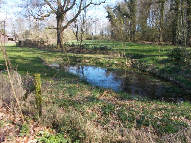 dscn0031.jpg
