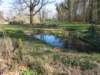 dscn0031_small.jpg