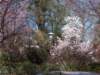dscn0032_small.jpg