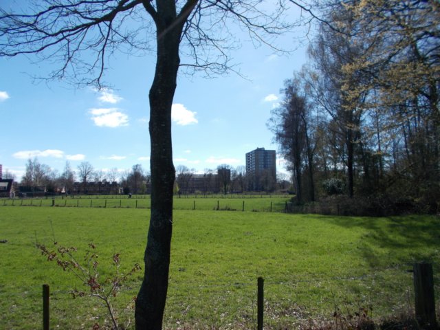 dscn0035.jpg
