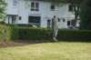 dsc00408_small.jpg