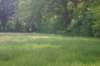 dsc00631_small.jpg