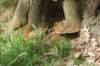 dsc00636_small.jpg