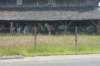 dsc00662_small.jpg