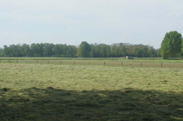 dsc00667.jpg