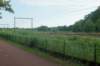 dsc01156_small.jpg