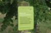 dsc01157_small.jpg