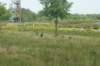 dsc01159_small.jpg
