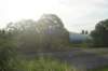 dsc01169_small.jpg