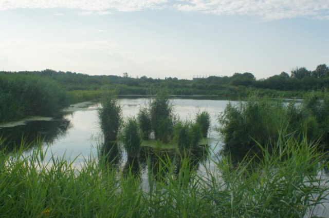 dsc01177.jpg