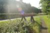 dsc01211_small.jpg