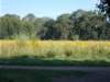 dscn0052_small.jpg