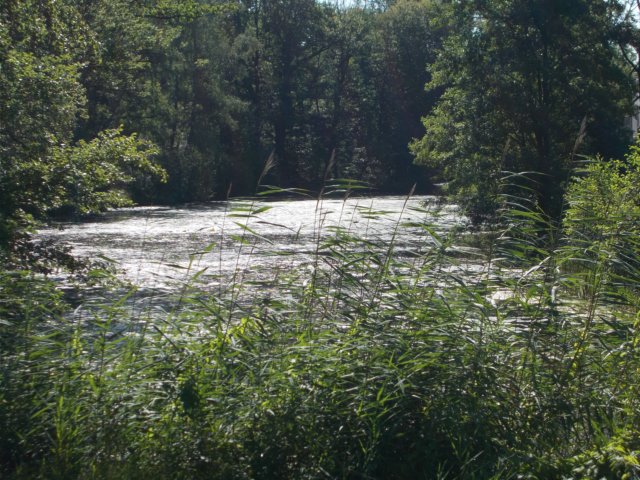 dscn0067.jpg