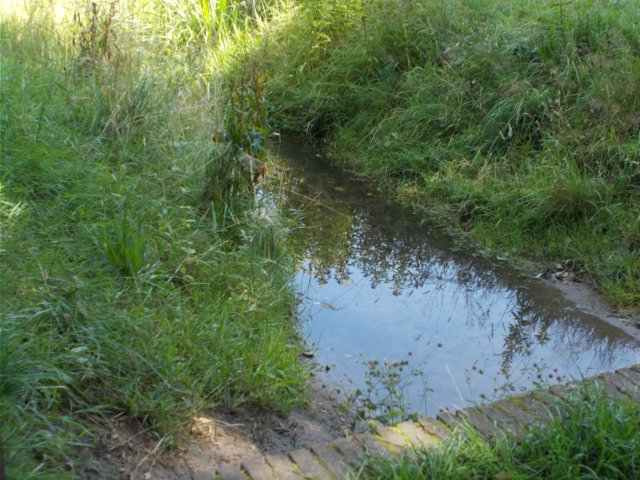 dscn0080.jpg