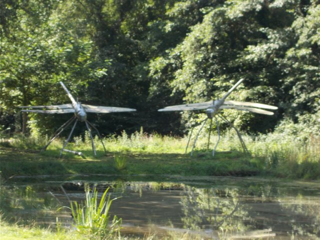 dscn0084.jpg