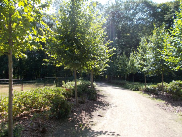 dscn0089.jpg