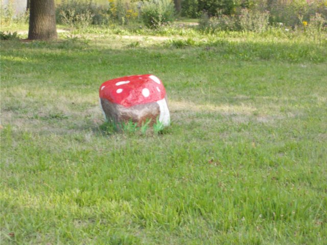 dscn0125.jpg