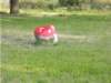 dscn0125_small.jpg
