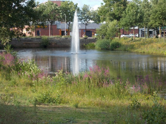 dscn0134.jpg