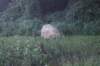 dsc01649_small.jpg