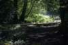 dsc01655_small.jpg