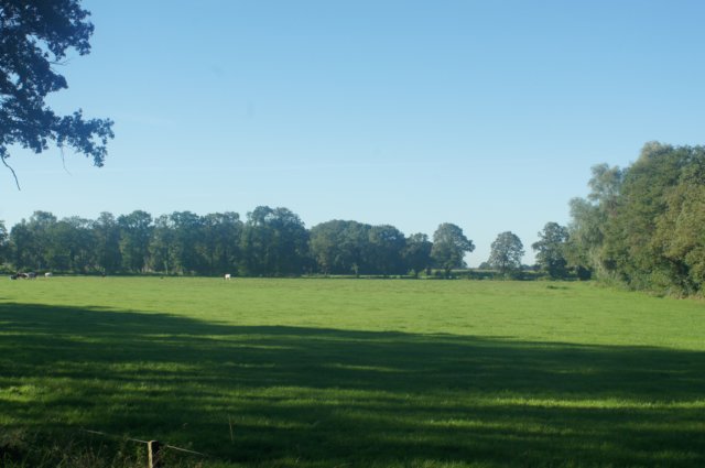 dsc01667.jpg