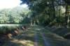 dsc01674_small.jpg