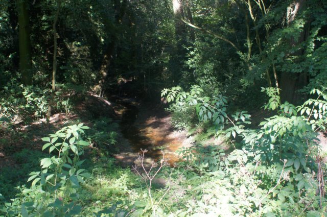 dsc01680.jpg
