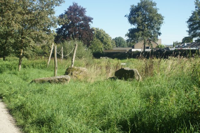 dsc01686.jpg