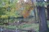dsc02479_small.jpg