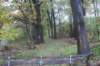 dsc02480_small.jpg