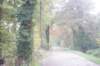 dsc02481_small.jpg