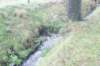 dsc02482_small.jpg