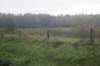 dsc02483_small.jpg