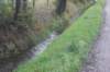 dsc02486_small.jpg