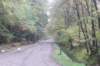 dsc02487_small.jpg