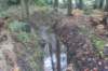 dsc02510_small.jpg