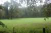 dsc02515_small.jpg