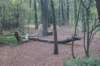 dsc02525_small.jpg