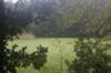 dsc02526_small.jpg