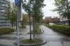 dsc02547_small.jpg