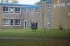 dsc02557_small.jpg