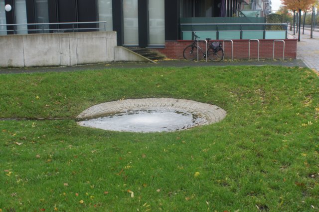 dsc02566.jpg