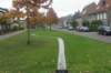 dsc02568_small.jpg
