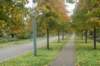 dsc02577_small.jpg