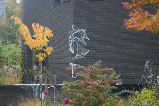 dsc02579.jpg